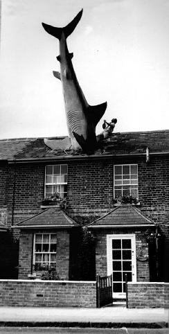   Headington Shark, Oxford 